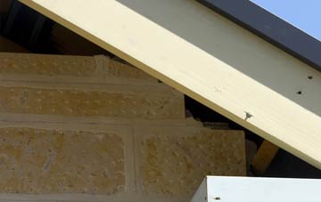 soffit repair Askomill