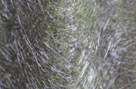 Askomill fibreglass roof work